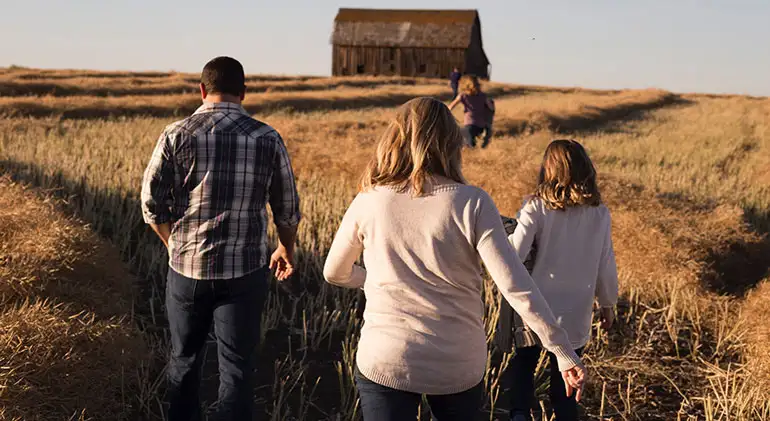 A Quick Solution to Low Milk Production in Zimbabwe