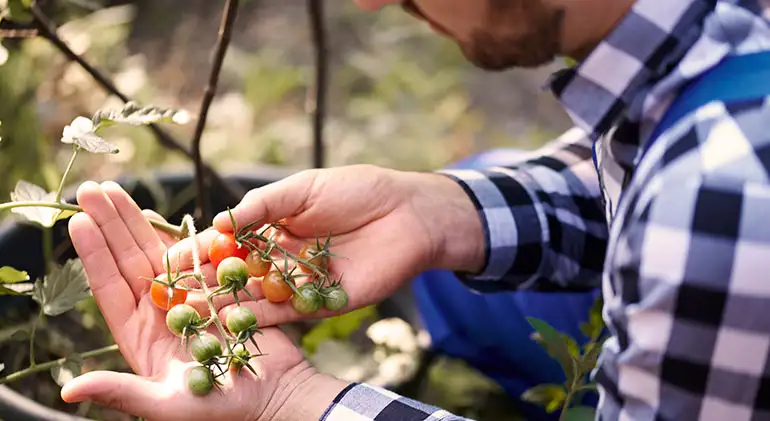 Agronomy and relation to Other Sciences